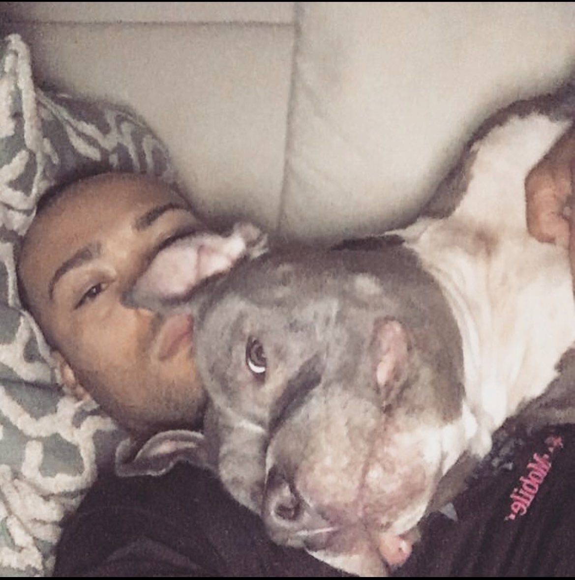 Nelson Rosa tweet media