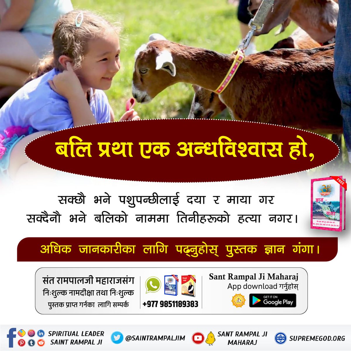 UmaKafle7's tweet photo. #बलिप्रथा_बन्द_गरौँ
पशुको बलि दिई पूजा गर्ने चलन भूत ,प्रेत तथा राक्षस पुज्ने  तामसी  कर्म हो । यसबाट नरकको यातना दु:खको साथै भूत प्रेत योनीमा जानुपर्ने हुनाले समेत बलिप्रथा लाई परहेज गरौं । 
Save Animals https://t.co/yOiw8BYh1B