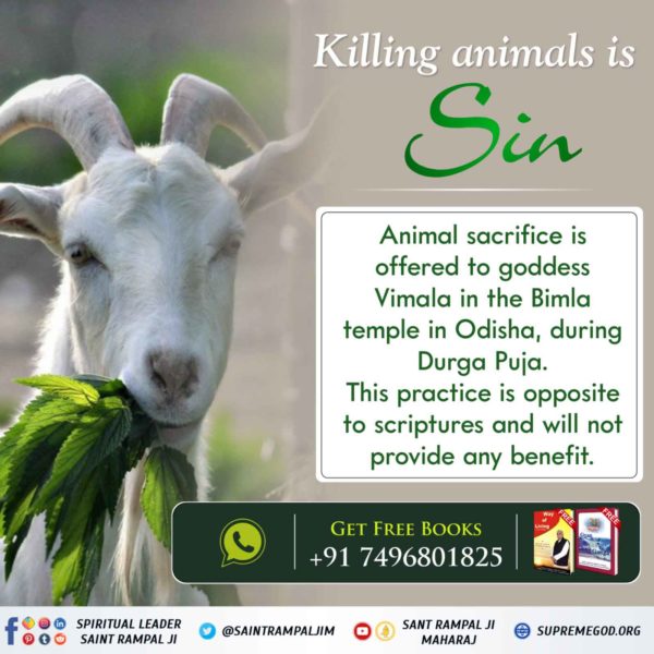 #बलिप्रथा_बन्द_गरौँ
Animal sacrifice is not mentioned in the holy scriptures.
This practice is arbitrary and has been propagated by ignorant Sants.
<a href="/SaintRampalJiM/">Sant Rampal Ji Maharaj</a>