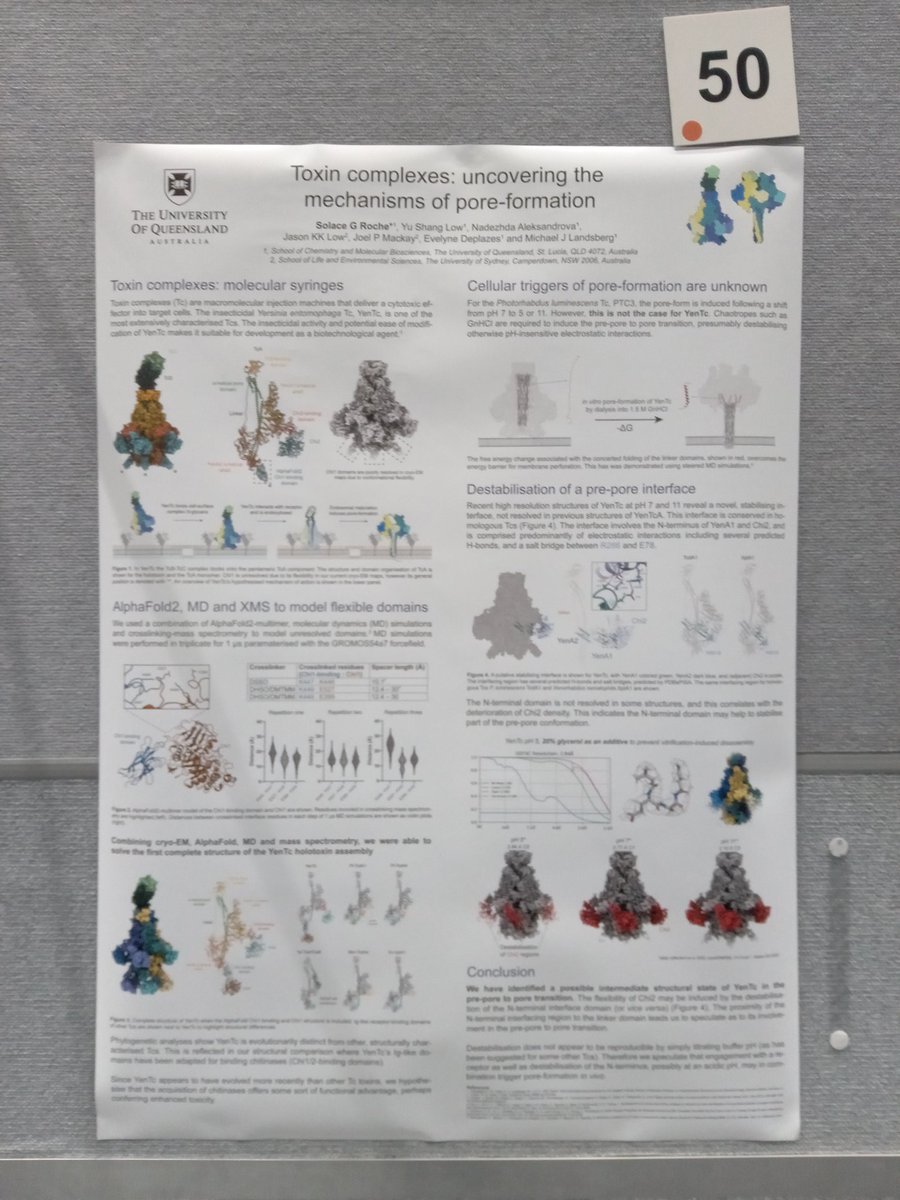 YenTc is a cool protein complex that  injects toxins into cells like a syringe.

Check out <a href="/SolaceRoche/">Solace Roche</a>'s poster to see how he combines #cryoEM, AlphaFold, MD sims and mass spec to identify possible intermediate states in the pore formation mechanism. <a href="/LandsbergLab/">Landsberg Lab</a> #combio22