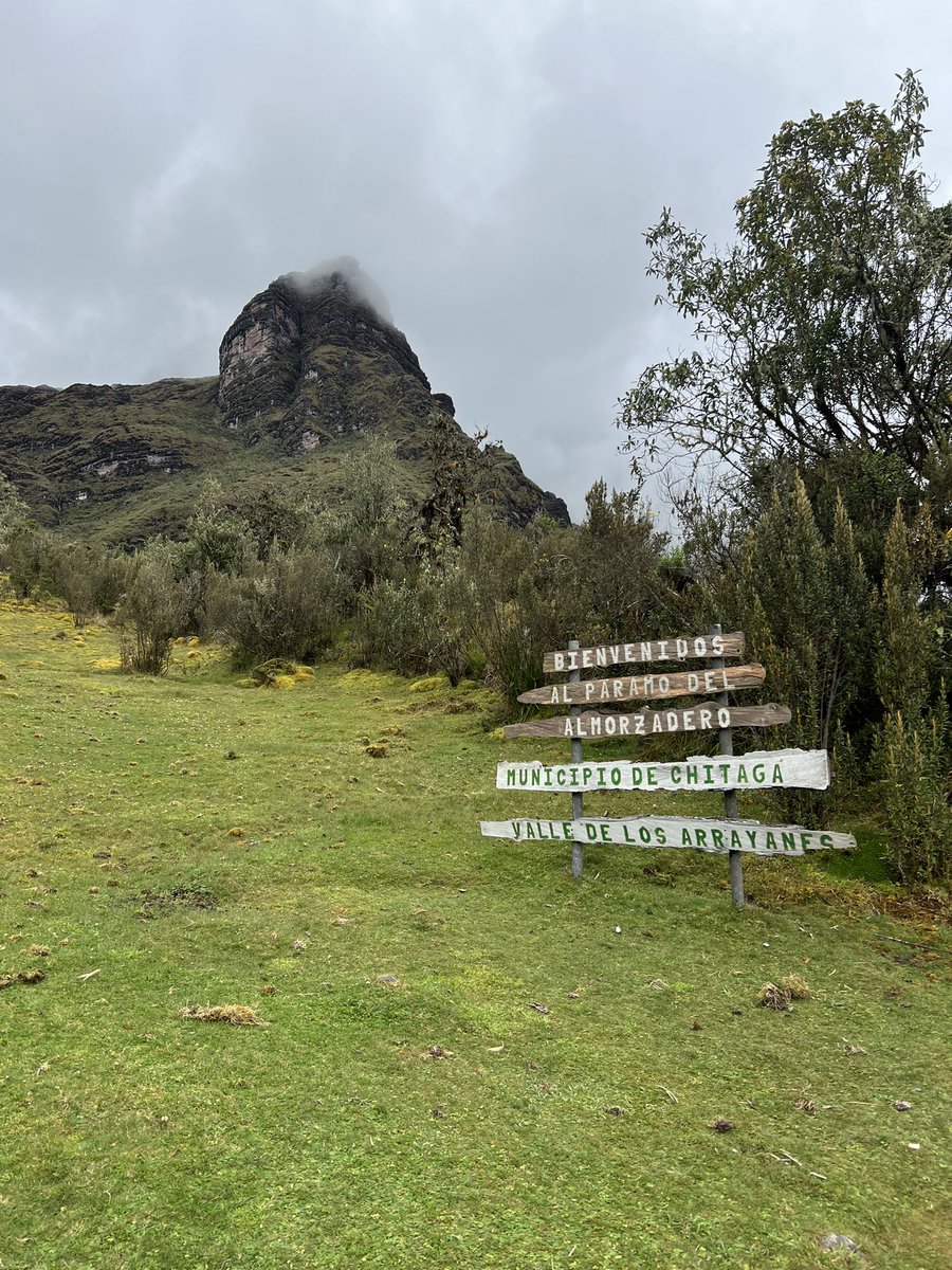 Maria Andrea Torrado tweet media