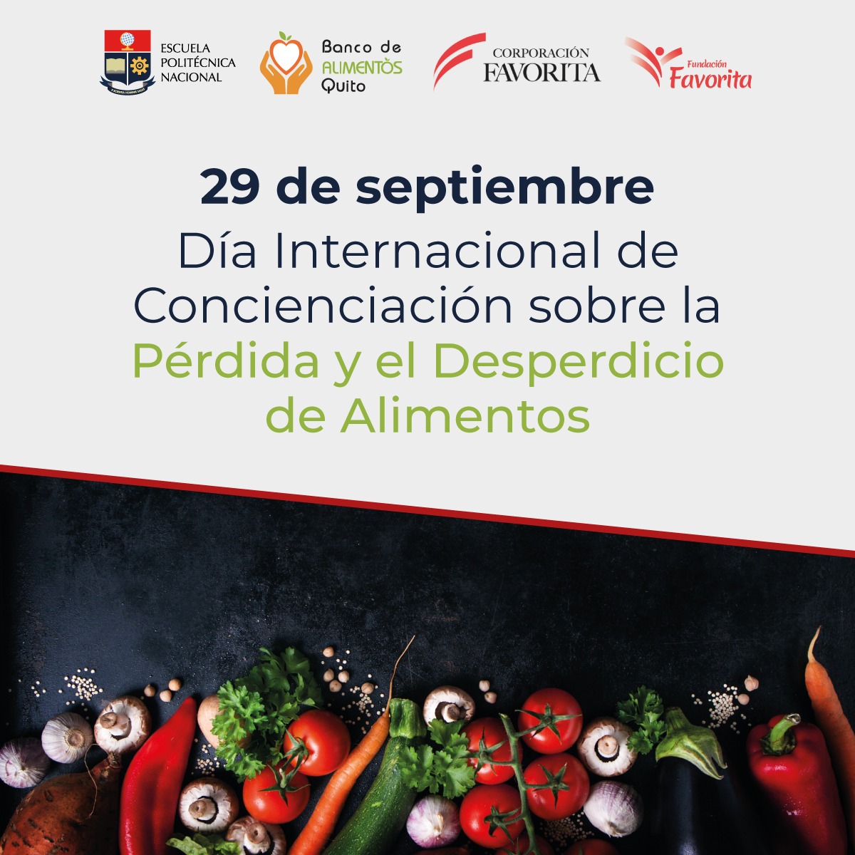 EPNEcuador's tweet photo. En el Día Internacional de Concienciación sobre la Pérdida y el Desperdicio de Alimentos la #EPN, @baqalimentos, @CorpFavoritaEc y @FundFavoritaEC
se unen para sensibilizar a la ciudadanía y productores locales sobre el desperdicio de alimentos y cambiar esta realidad en el país. https://t.co/K2RTIEYcu3