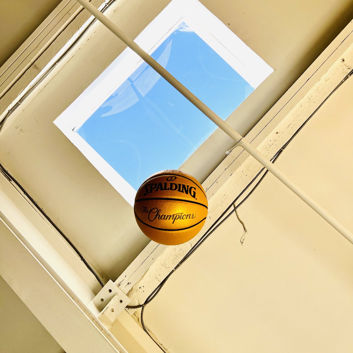 Derek Vaz tweet media