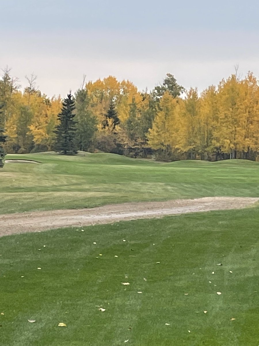 Barrhead Golf Club tweet media