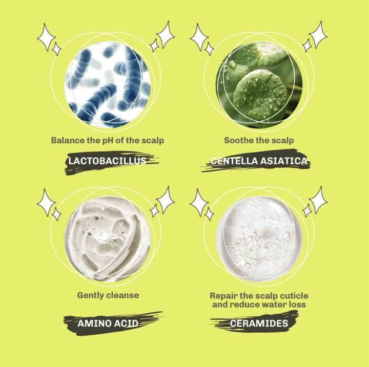 lavojoy's tweet photo. We really really really have done a lot to reduce hair loss!😉

You should get to know what make things better:

Hero ingredients of hold me tight shampoo：
👊Amino Acid
👊Lactobacillus
👊Ceramides
👊Centella Asiatica

Let‘s get healthy scalp and thick hair together！

#lavojoy https://t.co/vBPFcwC0xZ