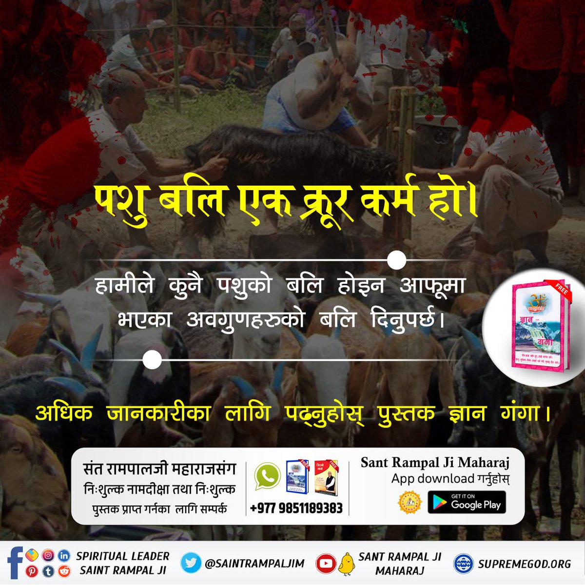 SarojSahDas1's tweet photo. #बलिप्रथा_बन्द_गरौँ
In Vedic Sanatan Dharma, those who commit violence are called unrighteous.

Save Animals https://t.co/1ec3YeSP8q