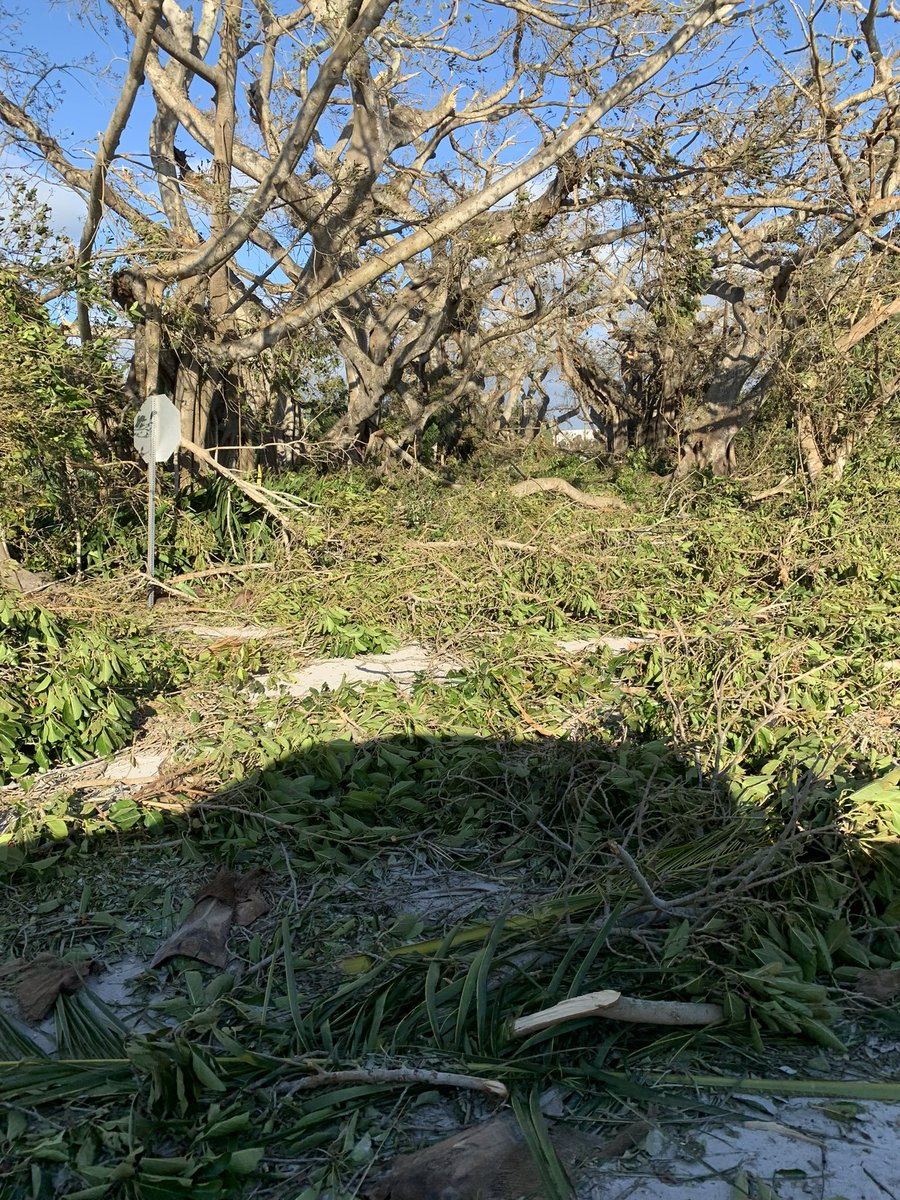 Finally starting to get pictures of the damage in #BocaGrande. The island dodged the flooding which is a huge blessing. Praying for all those impacted in FL. Banyan street…