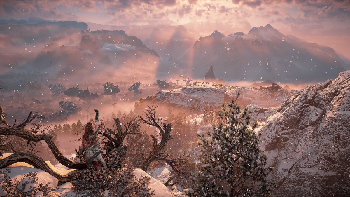 Francesco Pascuccio tweet media