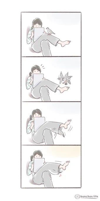 今日で9月も終わり、こんな光景も増えてくるこの頃
#文鳥 
#bunchoslife 
#4コマ漫画 