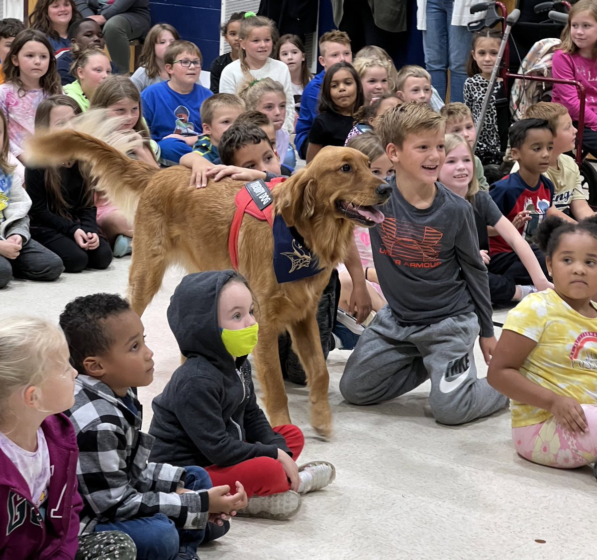 Can’t forget Easton, our therapy dog Viking of the Month! He brings the love to <a href="/MRElem/">Margaret Ross Elementary</a> 💙💛 Doesn’t he look great in his #VikingPride bandana?