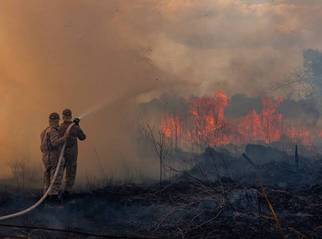 willllfonseca's tweet image. “nao tivemos incêndio na floresta” disse bolsonaro no #DebateNaGlobo eis o brasil: