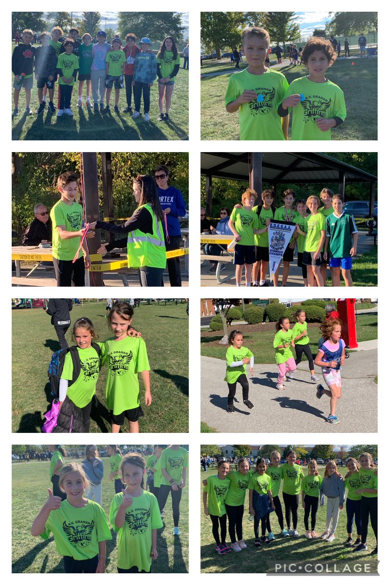 Mme Aversa tweet media