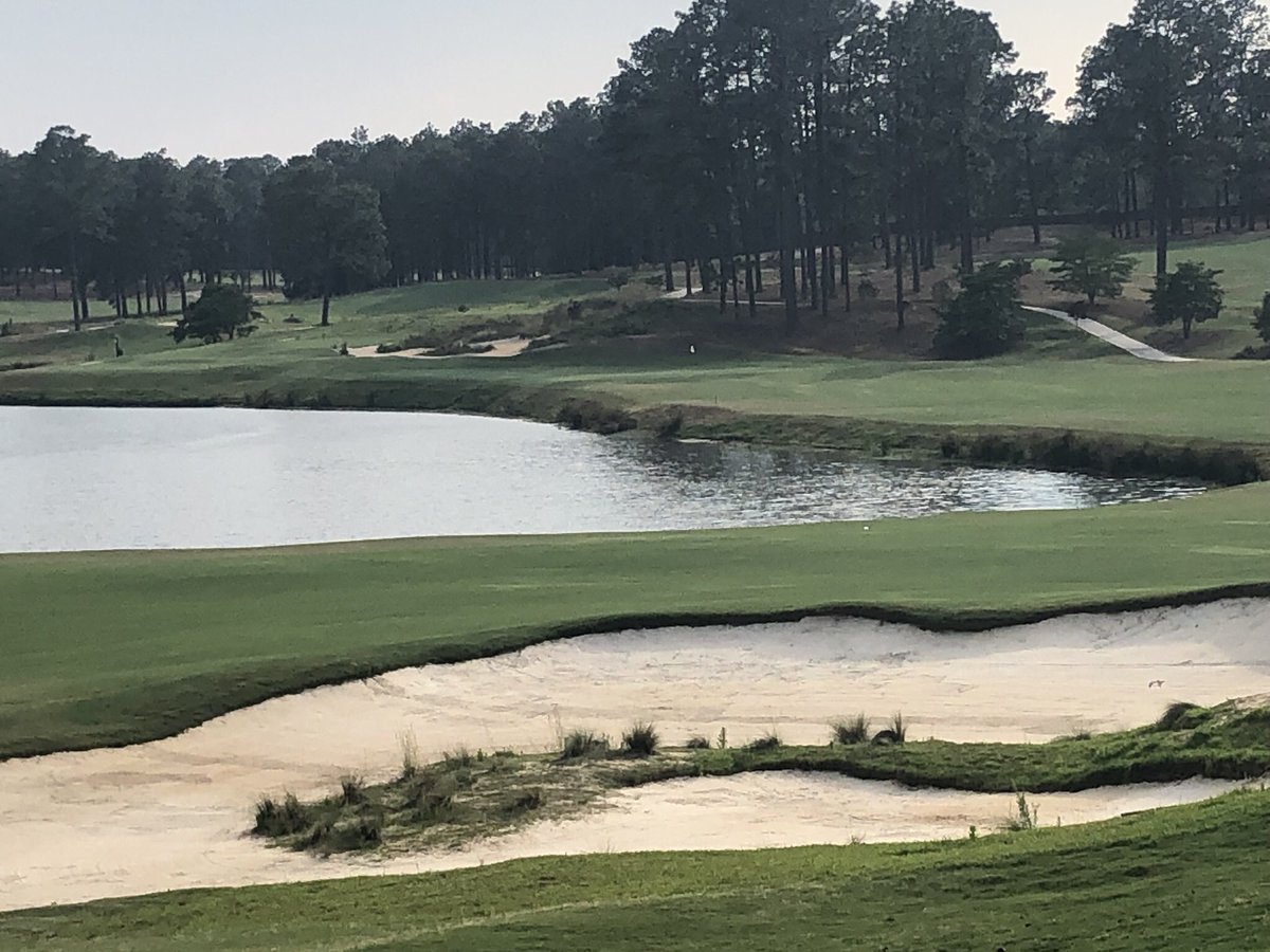 BryanTweed16's tweet photo. UPDATED: my #TweederTop10 Donald Ross designs I’ve played:

1) Pinehurst (No. 2)
2) Aronimink
3) Pinehurst (No. 4)
4) Brookside (Canton)
5) Winchester 
6) Skokie
7) Salem
8) Oakland Hills (North)
9) Exmoor
10) French Lick (Ross)

HM: Evanston, Oak Park, Ravisloe, Pinehurst No. 1 https://t.co/CMXj3MLT8l