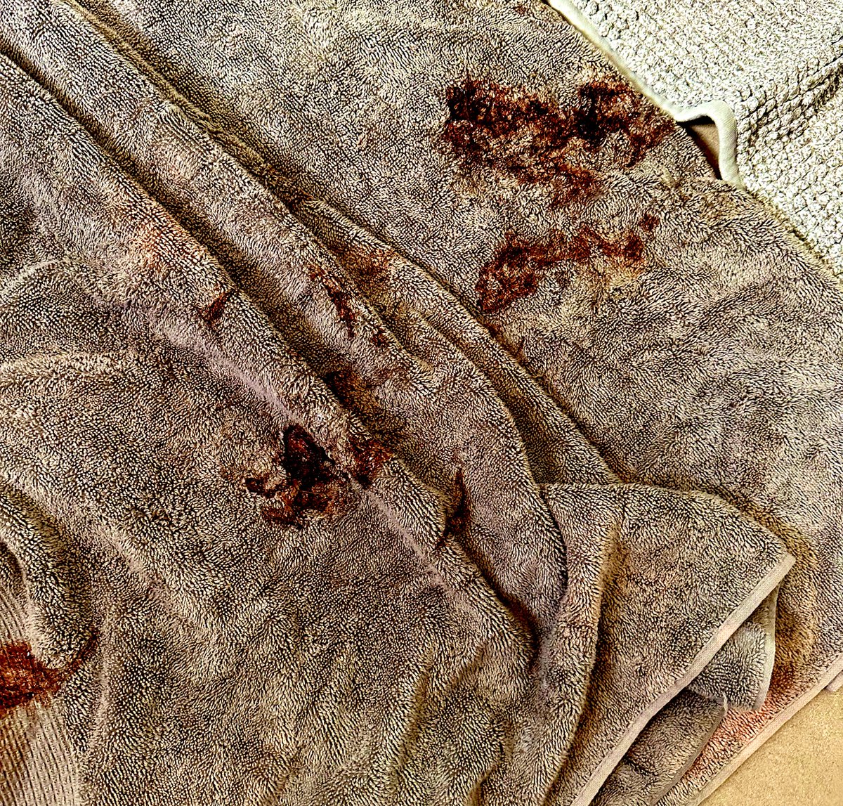 AllThingsCryptoAu🎙️ tweet media