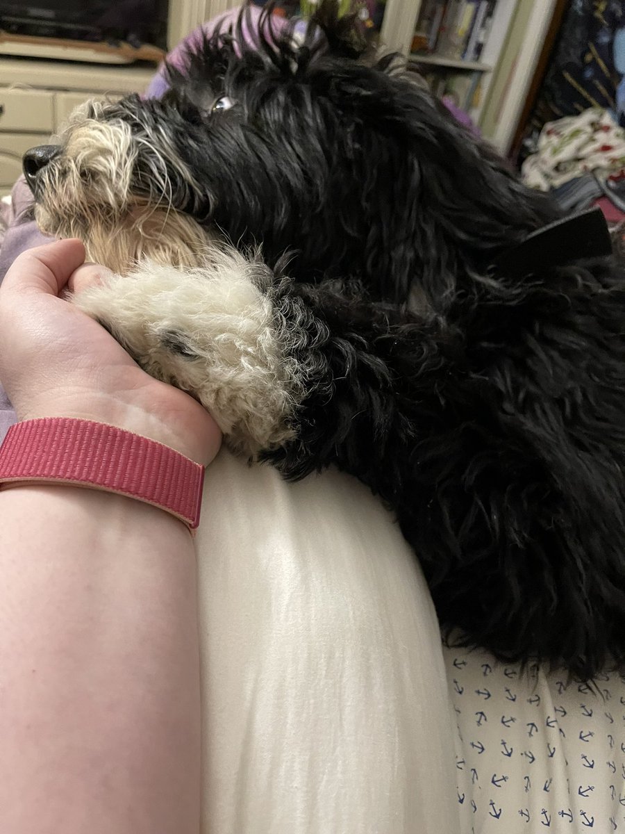 readheadreader's tweet image. Well after 2 years and 5 months, I have #COVID19 again. Im praying that I can stay out of the hospital.