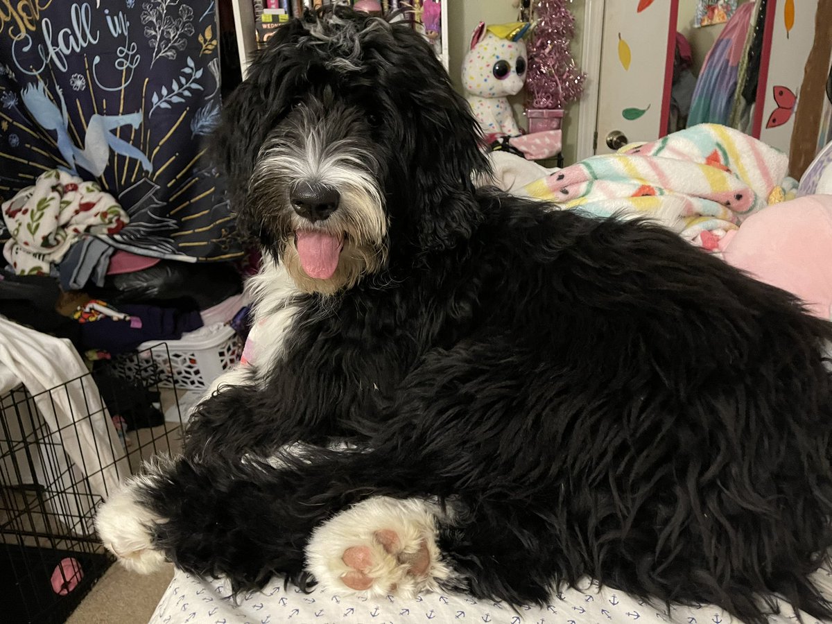 readheadreader's tweet image. Well after 2 years and 5 months, I have #COVID19 again. Im praying that I can stay out of the hospital.