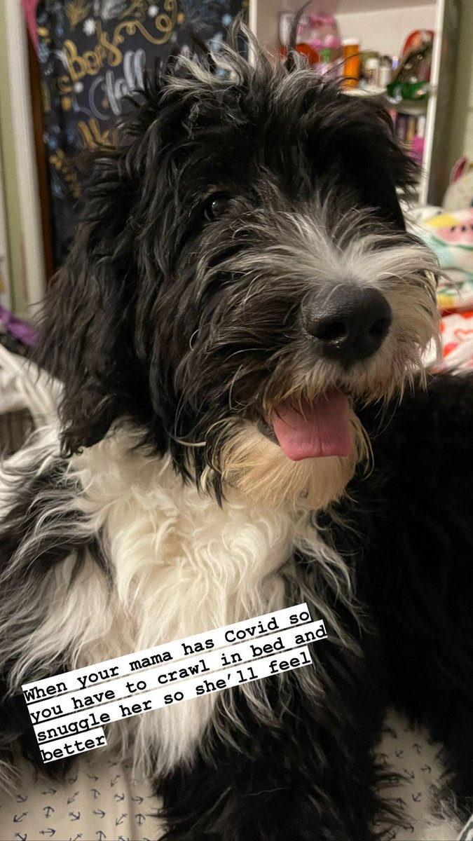 readheadreader's tweet image. Well after 2 years and 5 months, I have #COVID19 again. Im praying that I can stay out of the hospital.