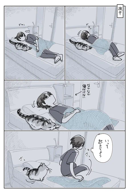 夜ふかしに付き添うネコ
https://t.co/j5cWjW3oT1 