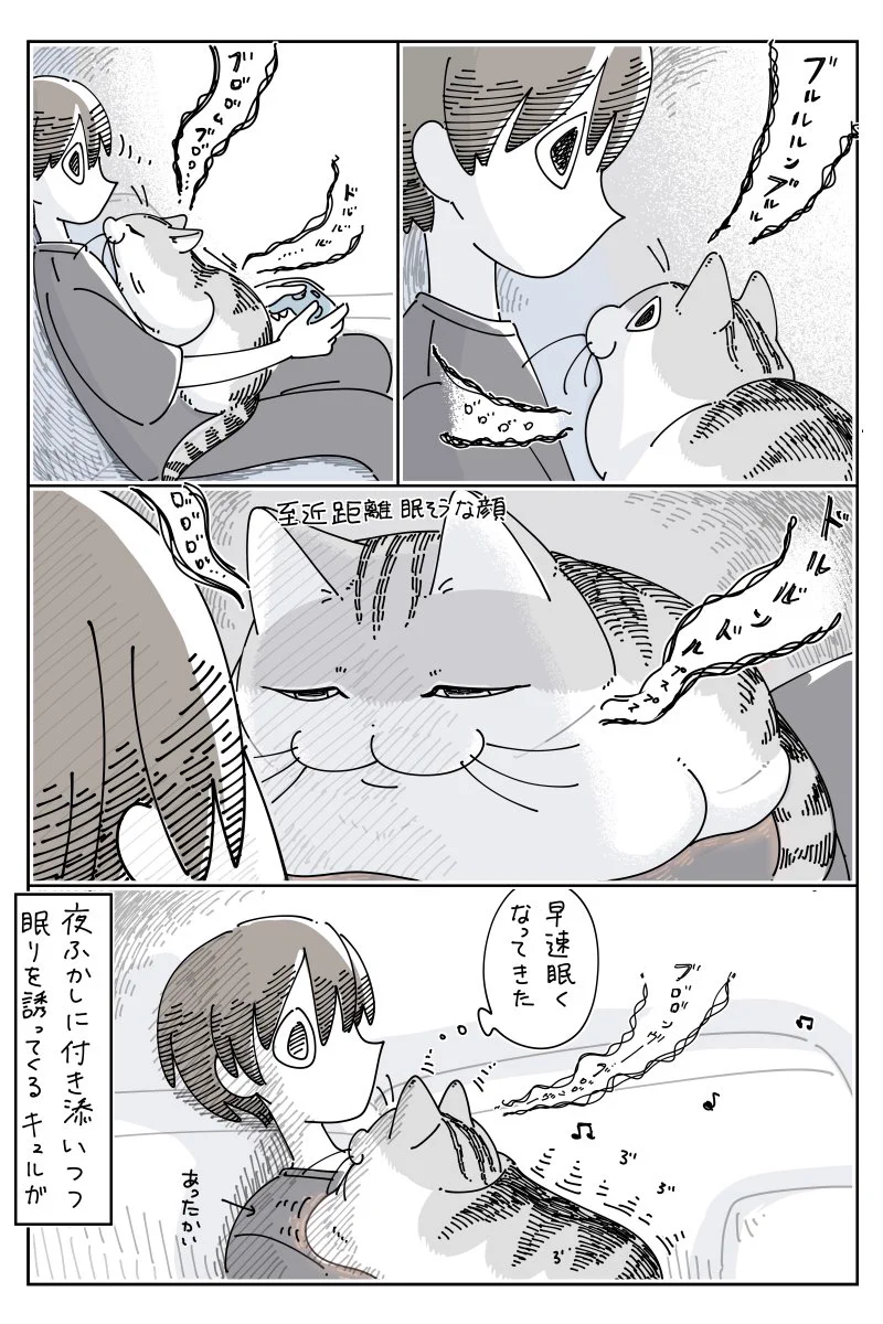 読んでいて温かい気持ちになる･･･！夜更かしに付き添ってくれる猫のお話を描いた猫漫画！