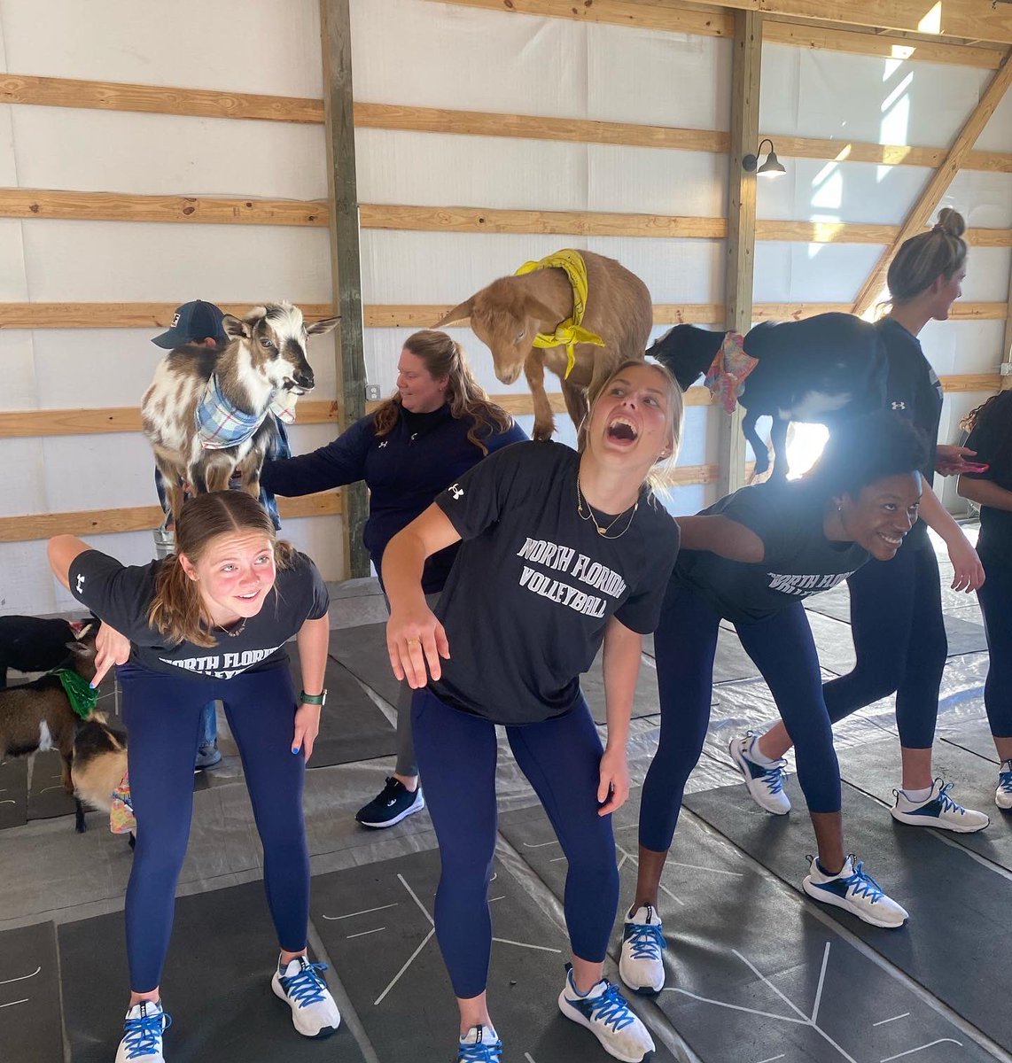 Kristen Wright tweet media