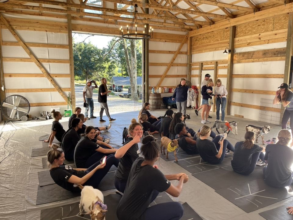 Kristen Wright tweet media