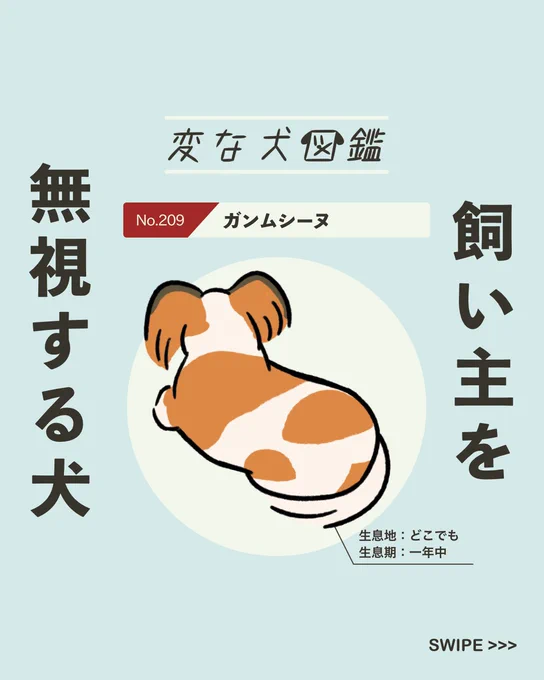 【#変な犬図鑑】
No.209 ガンムシーヌ
飼い主を無視するあの犬です。 
