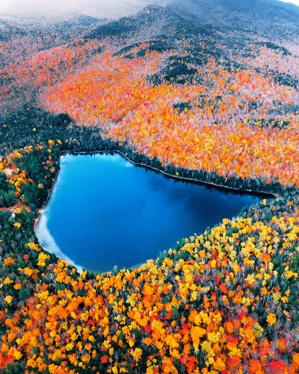 VidayComida's tweet photo. 🍁 “El otoño es
la primavera del invierno.”
~ Henri de Toulouse-Lautrec ~
#buenosdías
#dreamers
#vidaycomida https://t.co/wctJYN53Ey