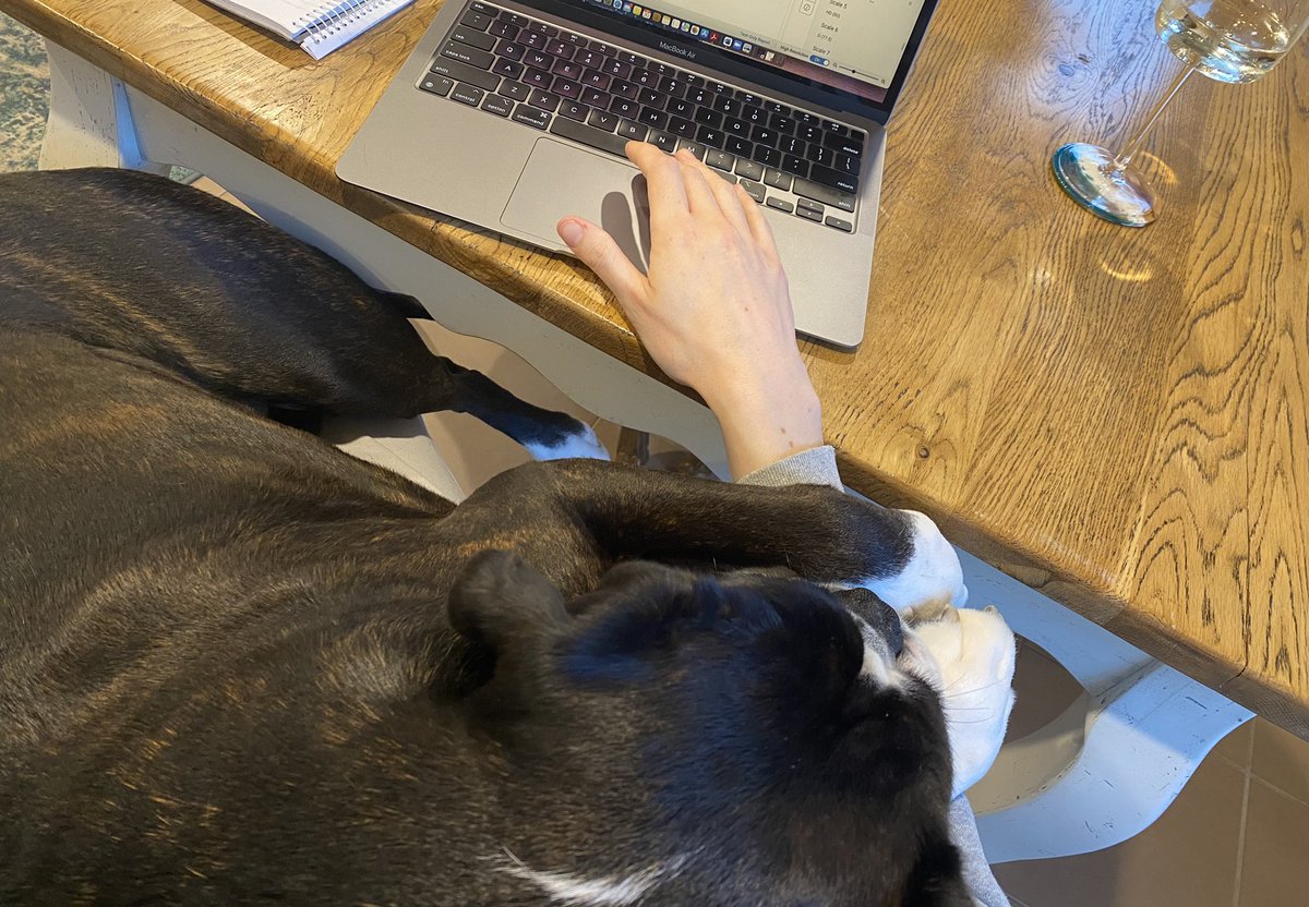 Emily Corner tweet media