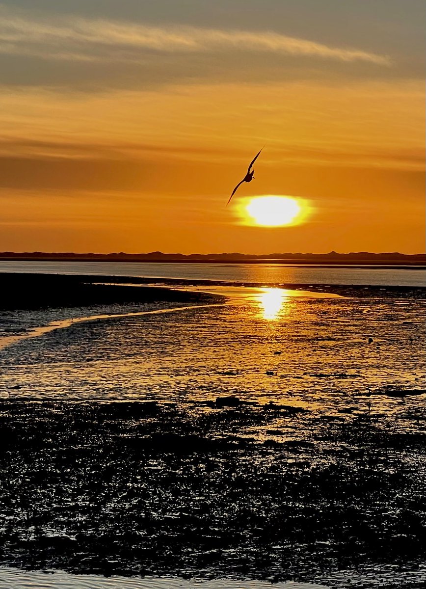 Hospice_Poet's tweet photo. Bolton Hospice 30 for 30 years - Haiku Challenge
#30For30Years #30 for @boltonhospice #Haiku #CreativeWellbeing #HospicePoet #photoart #TakeNotice #autumn
Flying to the light
Late September’s golden sun
Celebrates the day https://t.co/fHMBIccAuv