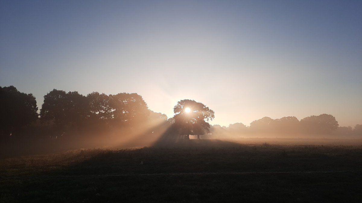 HansVoorn70's tweet photo. Goedemorgen @drenthe #Sleen https://t.co/tryC4f4Ax2