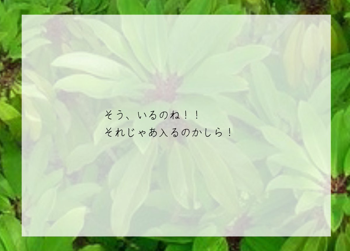 iza_gen's tweet photo. https://t.co/E8N8rvn2Nj