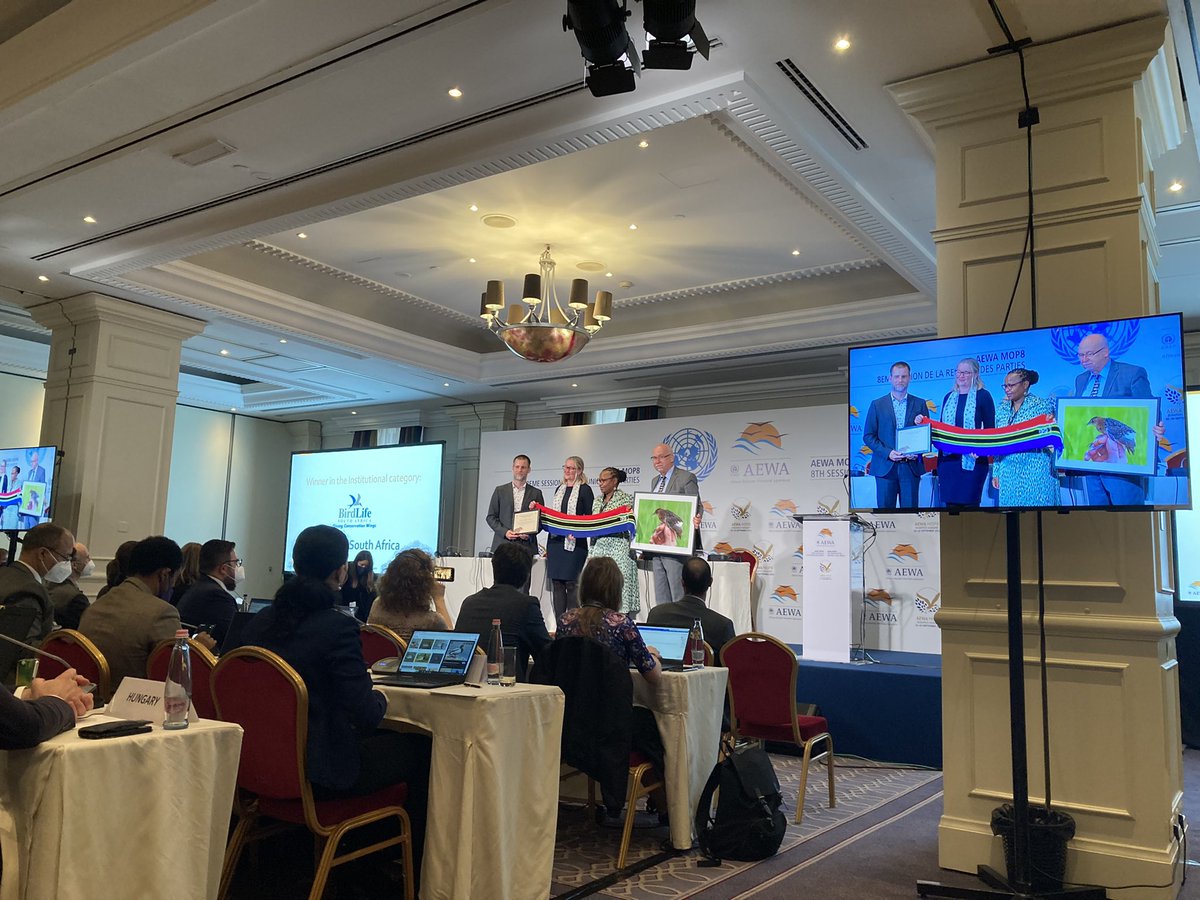 Starting off the last day at #AEWAMOP8 with recognizing the outstanding achievements of both Hichem Azafzaf (#LesAmisDesOiseaux) and of the organization Birdlife South Africa  (<a href="/Ruffled_feather/">Birdlife SouthAfrica</a>) with two awards for waterbird conservation 🎉 <a href="/unep_aewa/">African-Eurasian Waterbird Agreement (AEWA)</a> <a href="/BonnConvention/">Convention on Migratory Species (CMS)</a>