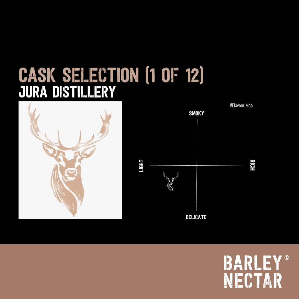 Barley Nectar tweet media