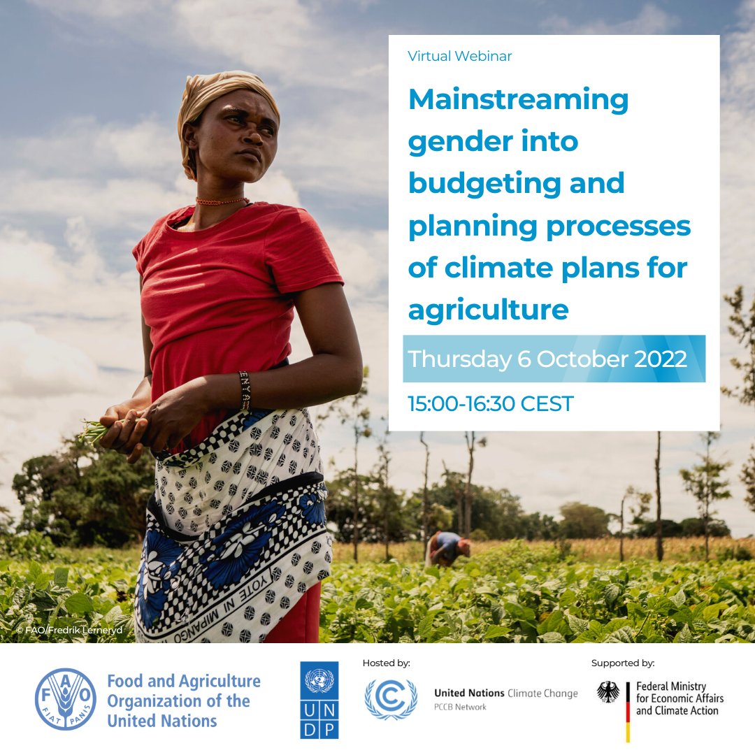 FAOclimate's tweet photo. How are countries integrating #gender into planning & implementation for effective #ClimateAction in agriculture?
Learn more at the #SCALAprogramme webinar next week with #PCCBNetwork @FAO @UNDPClimate & @iki_germany
📅 6 October
🕒 15:00-16:30 CET
👉 https://t.co/EdTenUNVjJ https://t.co/A7RLfbwCIV