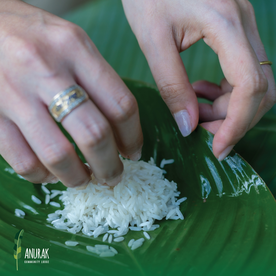 AnurakLodge's tweet photo. Learn how to create a taste sensation like no other at our Anurak Jungle Dinner.

Learn more: https://t.co/PDy0TTsFF4

#AnurakCommunityLodge #Ecolodge #Conservation #EcoTourism #Sustainable #EcoTravel #GreenTravel #Travel #Experience #Wanderlust #Thailand #KhaoSok https://t.co/SsVrtipumG