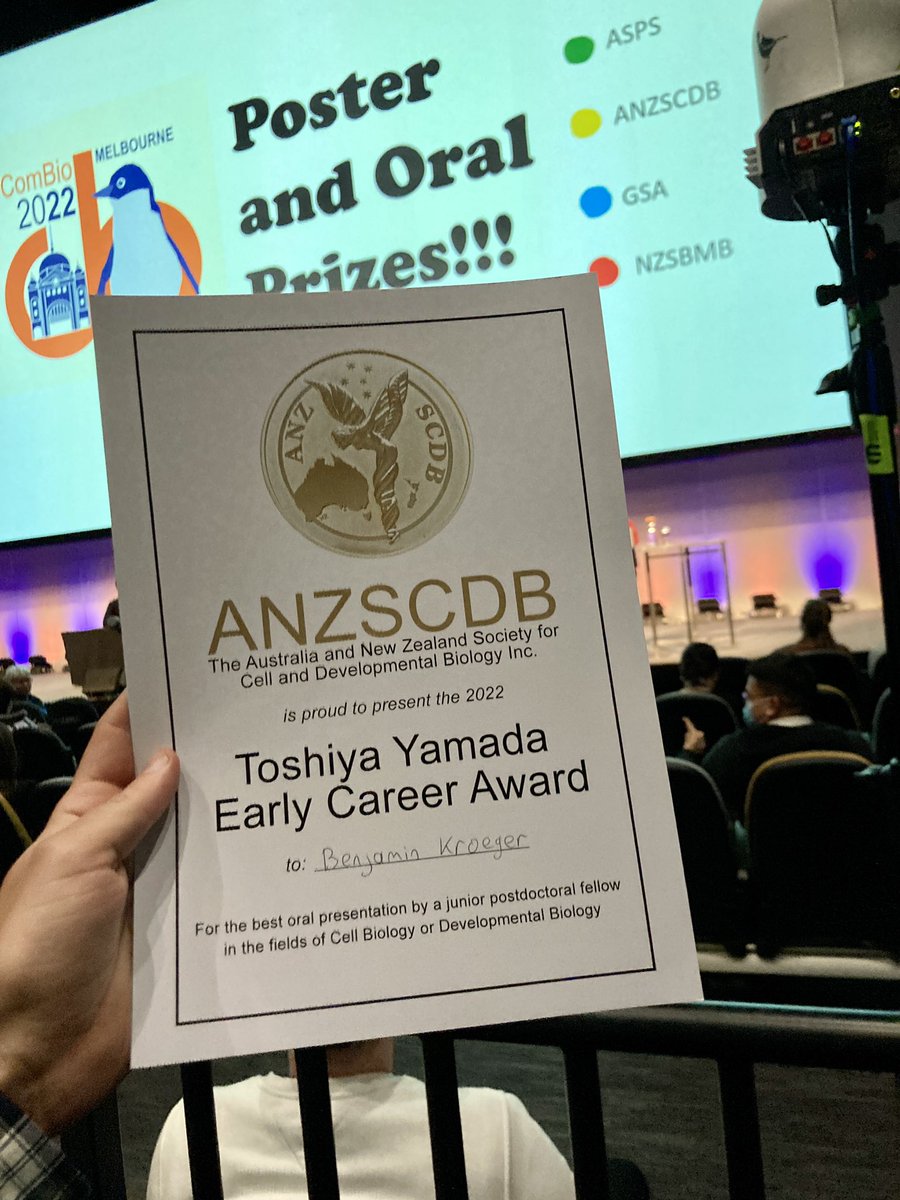 Benjamin Kroeger tweet media