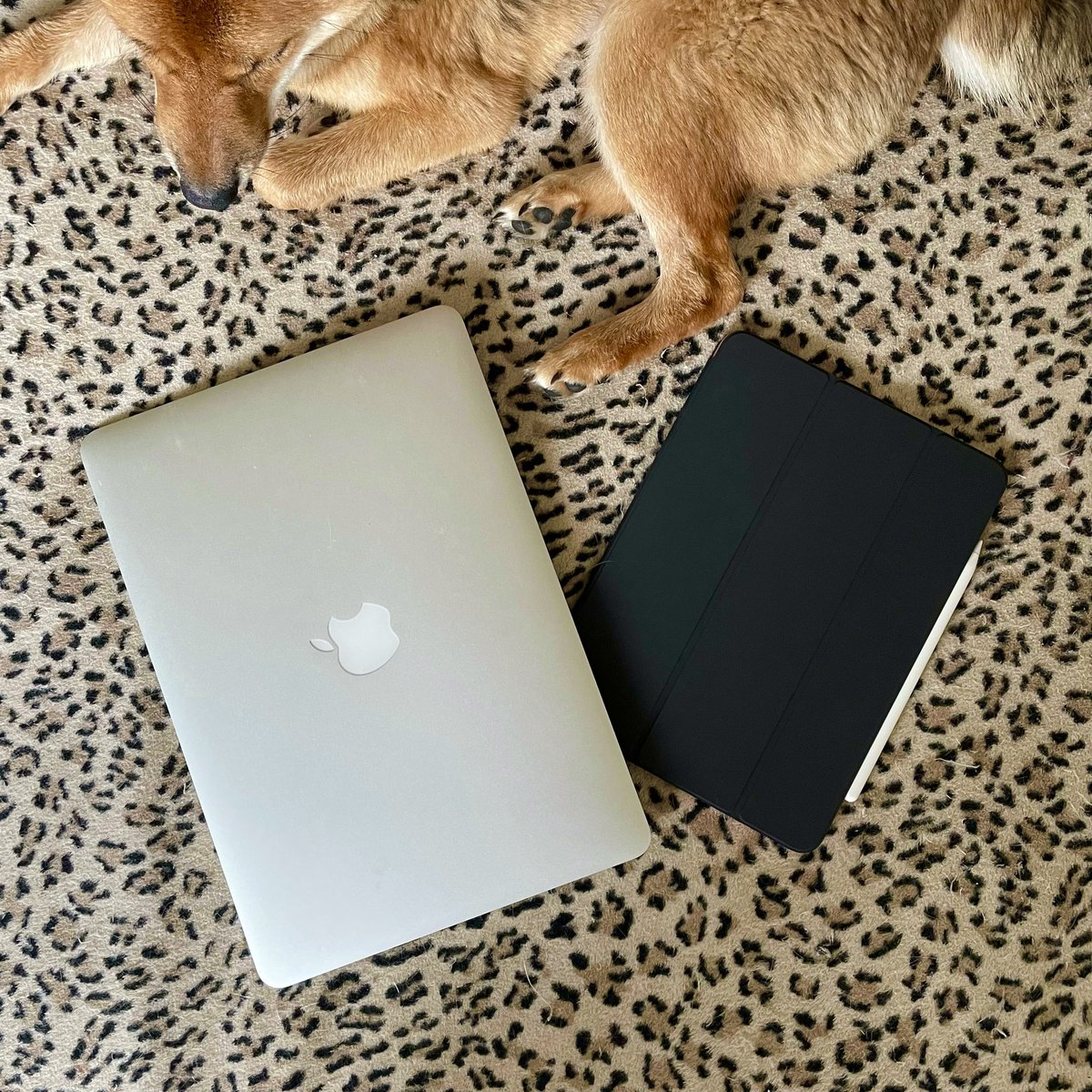 My everyday trio 😍
