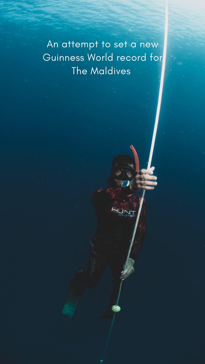 diveOceanus tweet media