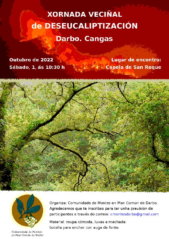 Este sábado nova xornada de deseucaliptización en San Roque (Darbo-Cangas). Apuntádevos e, se tedes machadas ou similar, levádeas.