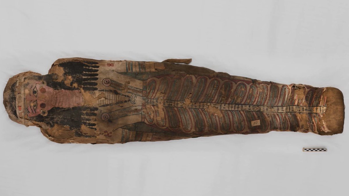 Our #mummy #exhibition "Unwrapping the Past" has proven such a hit that it has been extended to 24 October 2022.

Here's how, where and when you can visit us:
eurac.edu/en/exhibition/…