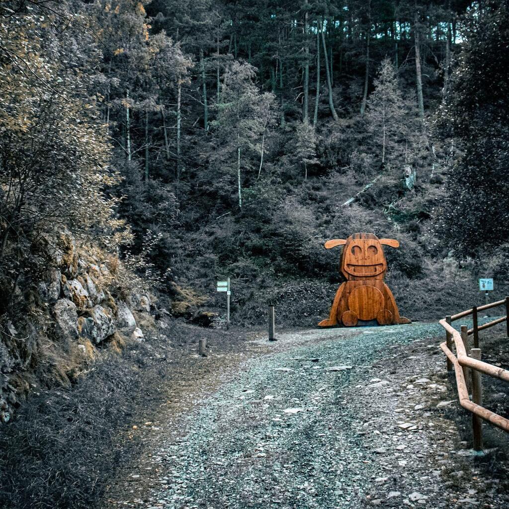 tallman_travels's tweet photo. There is a large creature lurking on our trail 🧐🧐

#tipsfortravel #instatraveltips #travellingdestinations #conscioustravel #travelinspirations #travelismypassion #greentravel #travelguides #travelshot #traveltip #ecotravel #travelerlife #sustainable… https://t.co/GNFlNINKJ2 https://t.co/p6WOQhgjCd