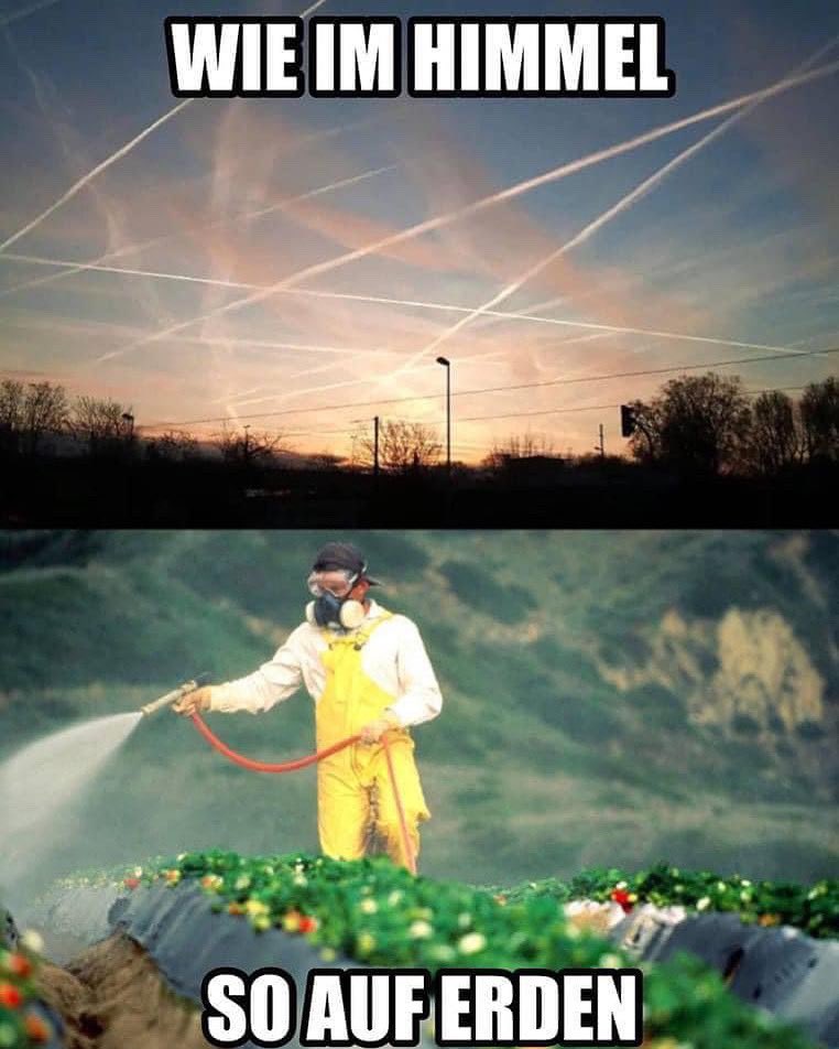 Schwurbel Oase (@schwurbel_oase) on Twitter photo 