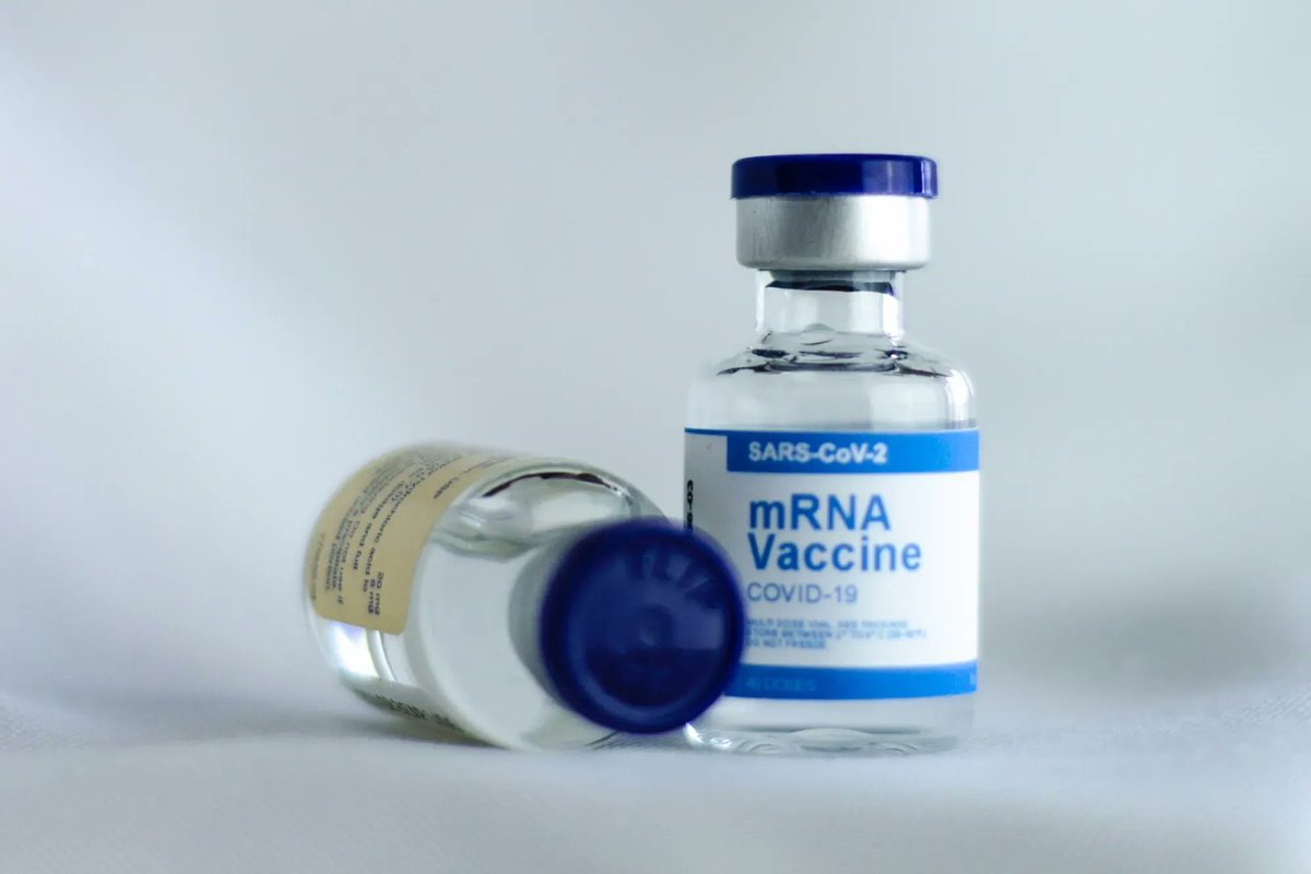 TyneHealth - North Tyneside GP Federation tweet media