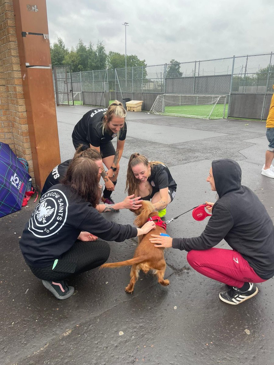 Our team: Focused, determined, motivated, composed &amp; calm.

*a random dog appears*

Also our team: