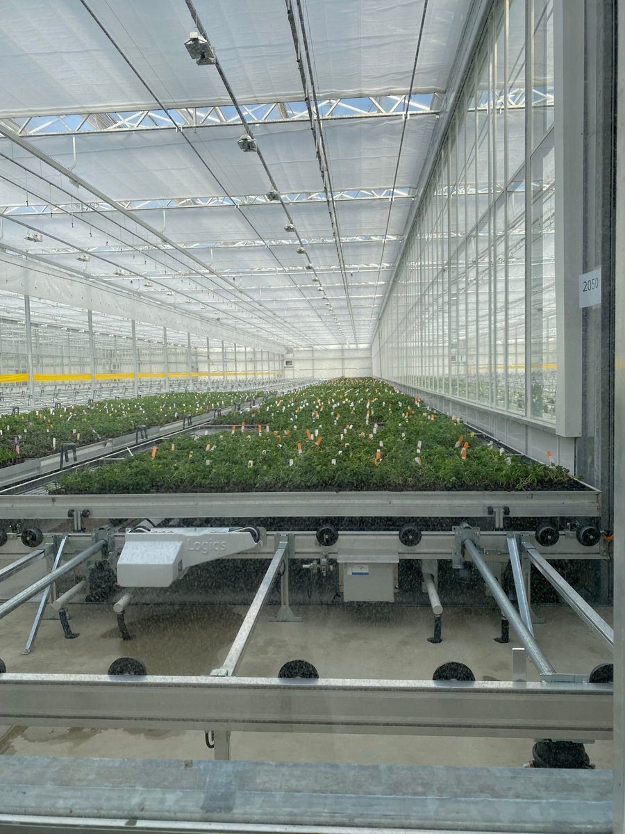 Fleuroselect tweet media