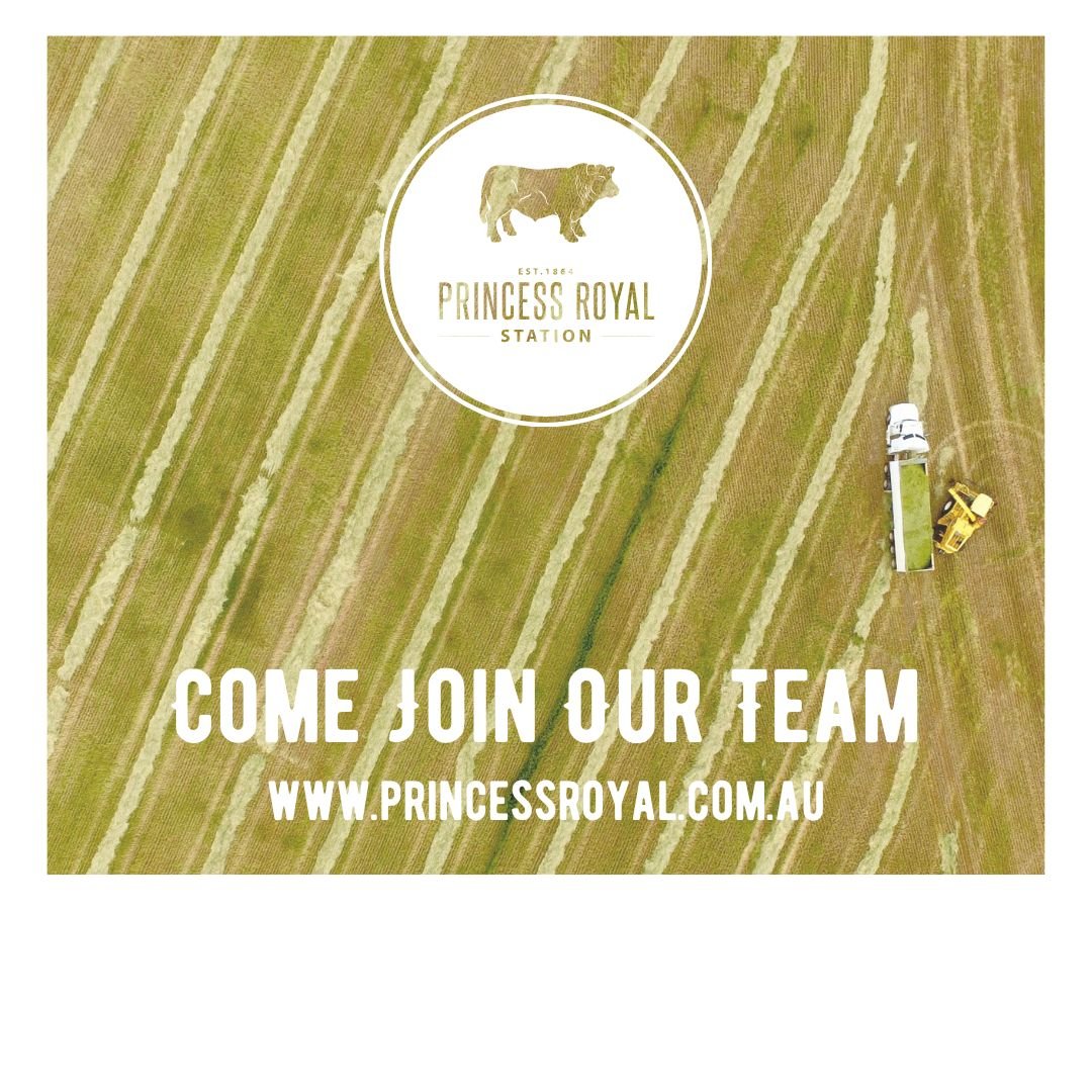 PrincessRoyalStation tweet media