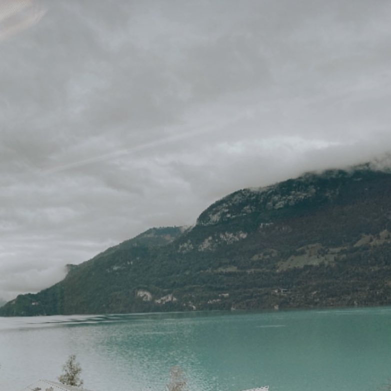 mona 🗻 tweet media