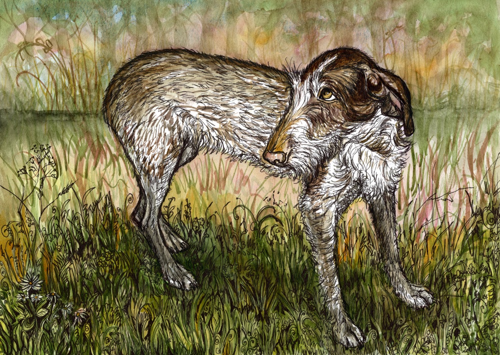 almostanangel66's tweet image. "That Look" #germanpointer