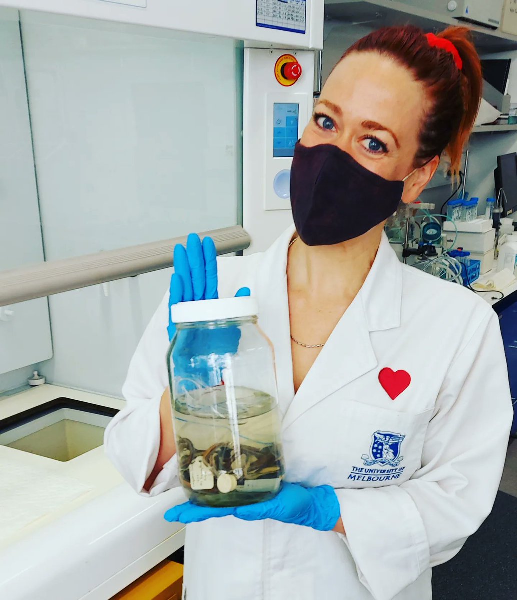 Ro Aguilar tweet media