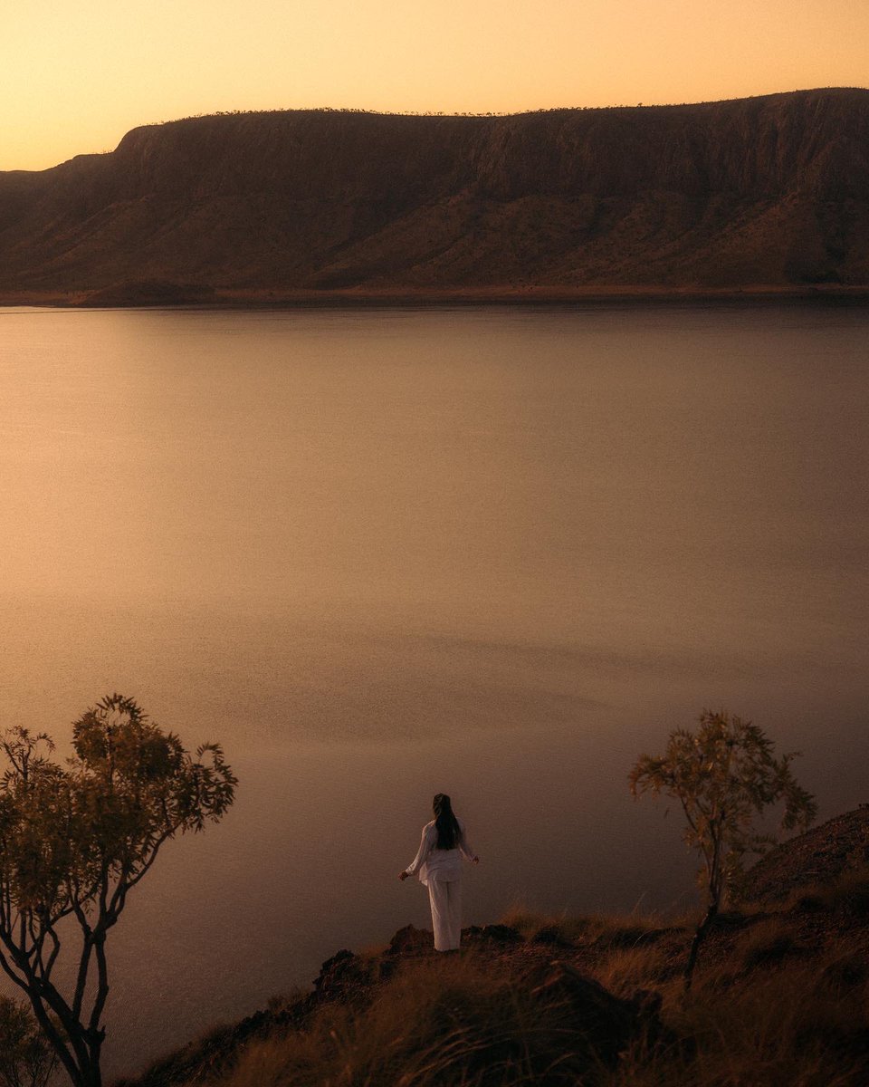 JedinasWorld tweet media